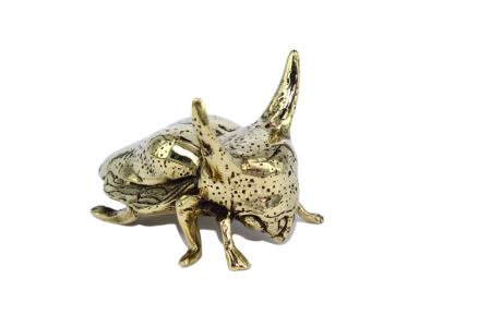 unusual gifts, brass bugs