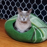 cat bed, pets beds, felt vat bed, travel beds for cats